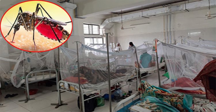 ডেঙ্গুতে আরো ৪ জনের মৃত্যু, হাসপাতালে ৩১৯